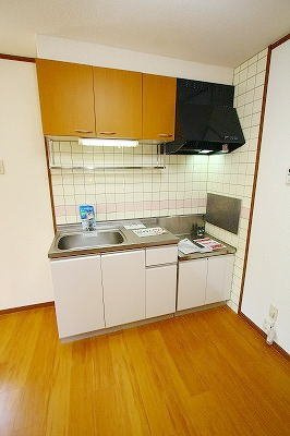 菊池郡菊陽町武蔵ヶ丘北２丁目のアパートのキッチン|コンパクトなキッチンで掃除もラクラク
