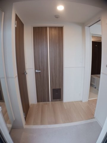 菊池郡菊陽町大字久保田の賃貸マンションの玄関|シンプルで使いやすい玄関です