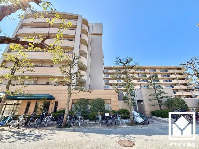 ディオ・フェルティ丹波橋右芳館