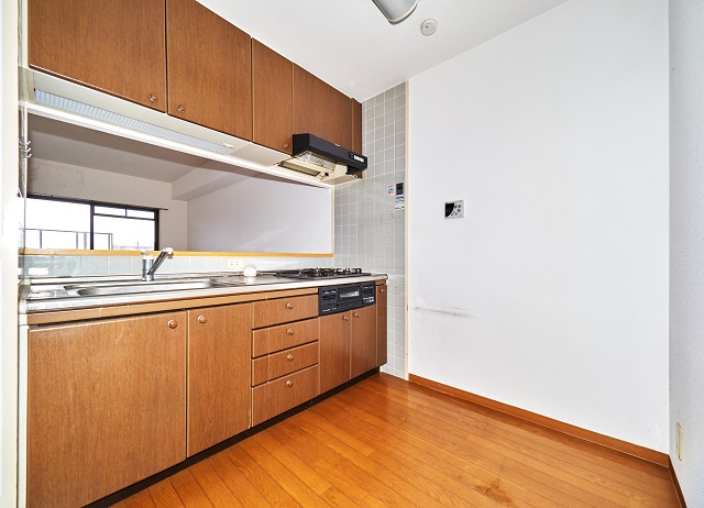 マウンティン・ツーのキッチン|カウンターキッチンにシステムキッチン