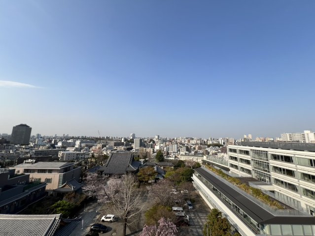 【展望】