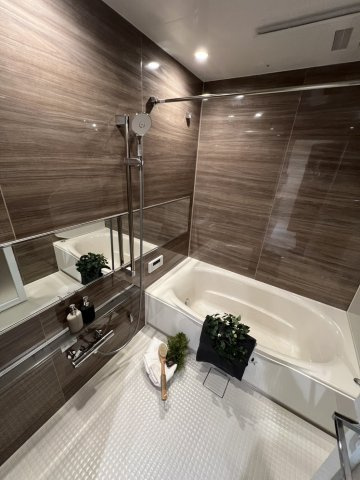 落ち着いた色合いです