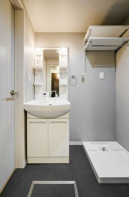 Oikos八潮の洗面所