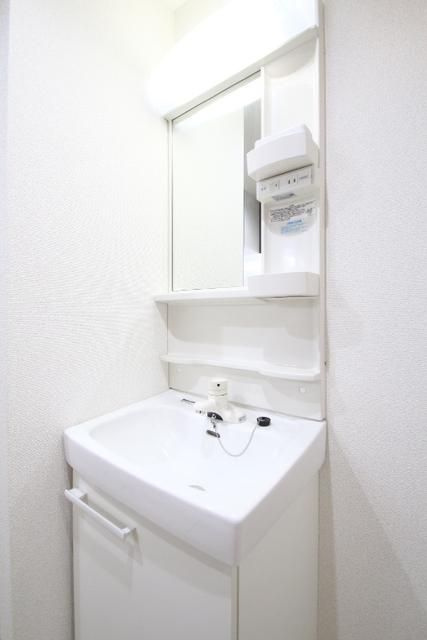 ベレッツァ中板橋の洗面所