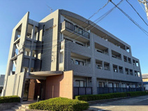Ｃｉｔｙ　Ｃｏｏｌａｌｅの画像