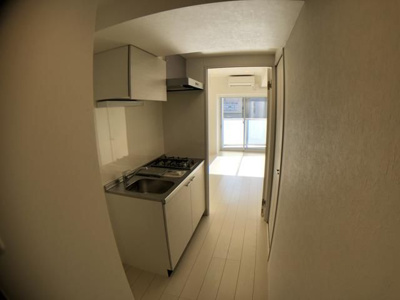  | Ｃａｐｒｉｃｏｒｎ