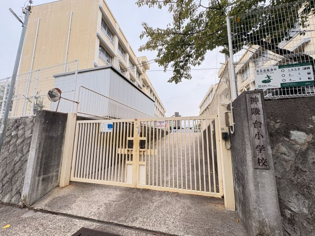 神戸市垂水区南多聞台5丁目新築戸建C号地の周辺|神陵台小学校まで約800ｍ