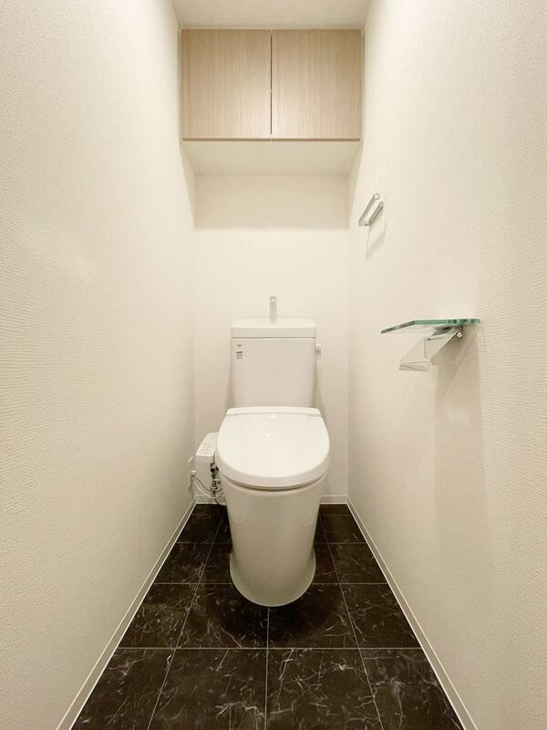 S-RESIDENCE新宿早稲田avelisのトイレ