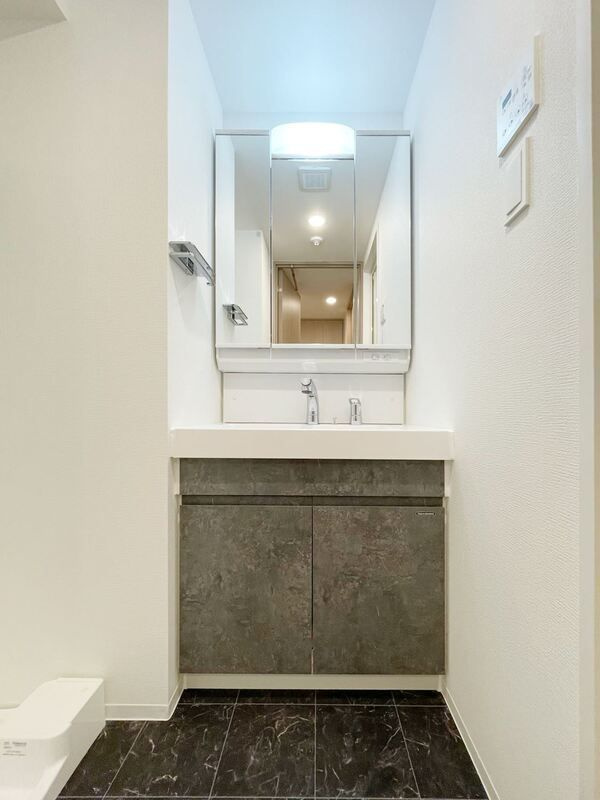S-RESIDENCE新宿早稲田avelisの洗面所