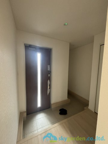 秦野市平沢第19　新築戸建　全１棟１号棟　の玄関