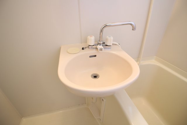 コーポラス芝の洗面所