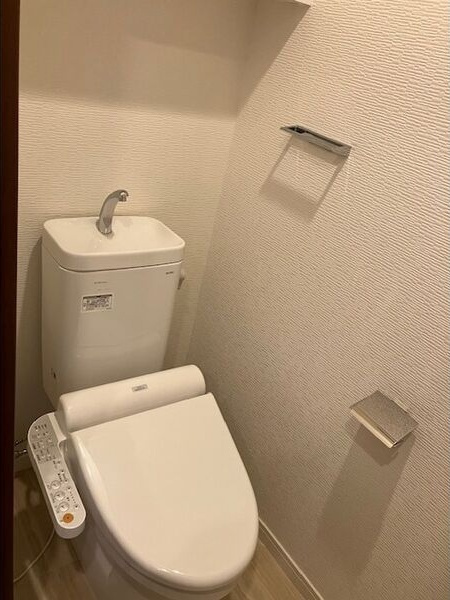 ブランブリエ東山ドゥーエのトイレ