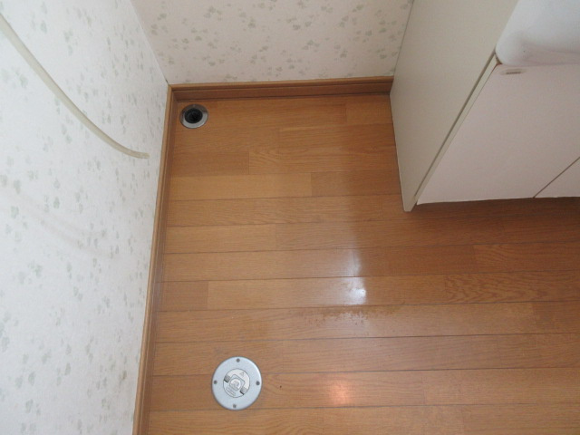 ベルタのその他