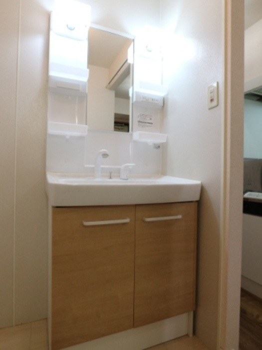 セジュールＳＡの洗面所