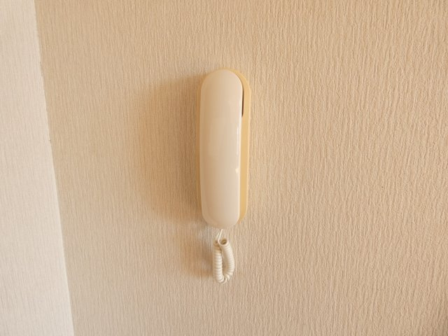 ラ・ポレール新緑のセキュリティ