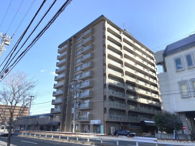 ルネ羽衣の画像