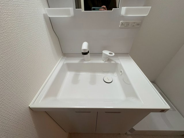 D porta hortensiaの洗面所