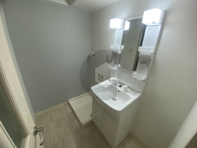 メゾンパルフェートの洗面所