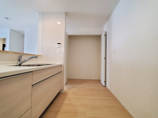三郷市　早稲田6丁目　新築戸建　全4棟の収納|パントリー収納です