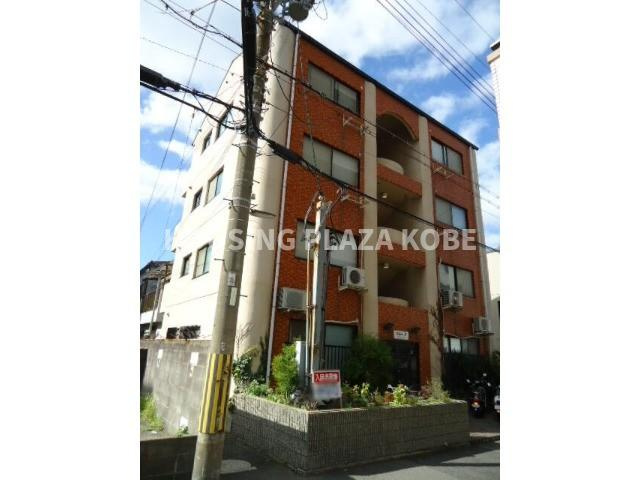 シャインスリー