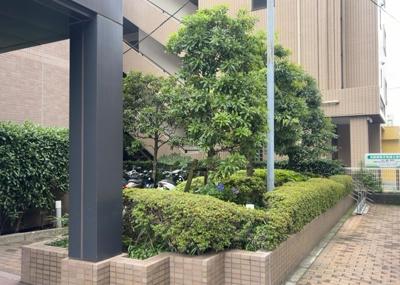 【中庭】 | モア・ステージ相模原・富士見 | 中庭（パティオ）とは、一つの建築物の内部に設けられた、壁などで囲われている庭のことを指します。コの字型、ロの字型が主流ですが、L字型の中庭もあります。最近では、インテリア性の高さからも人気があります。