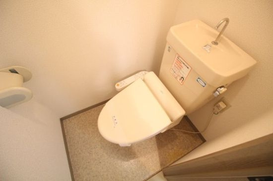 ソレイユキノミ