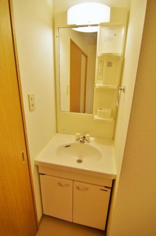 リュウ壱番館の洗面所|※シャンプードレッサーに交換予定