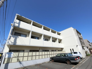 ドルチェの画像