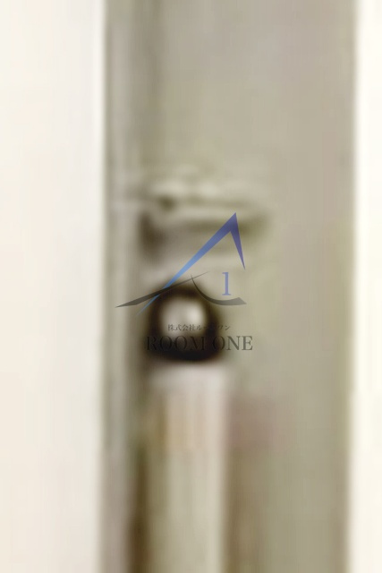 プレール・ドゥーク新宿御苑のセキュリティ|内鍵です。