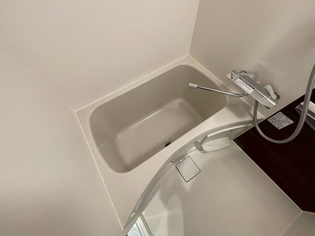 Louis Residence弁天町の浴室