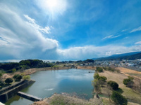  アンピール弥生が丘☆仲介手数料無料☆の画像