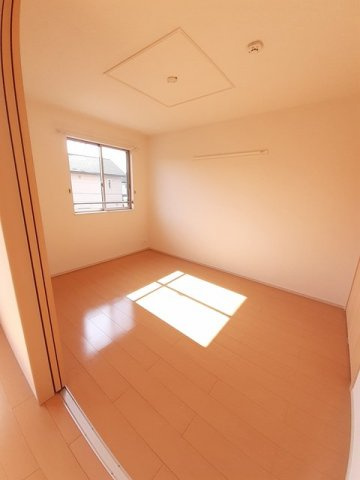 フリシュ輝のその他