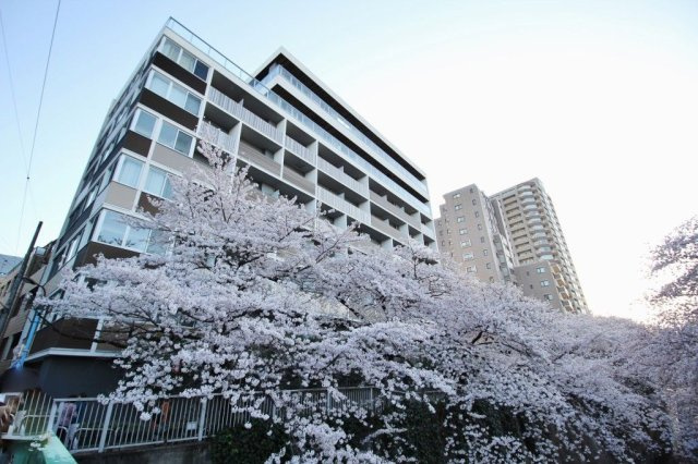 【外観】アールコート早稲田 