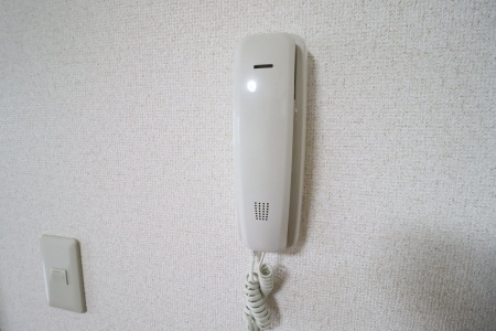 サイプレスタウン Cのセキュリティ|部屋の写真です