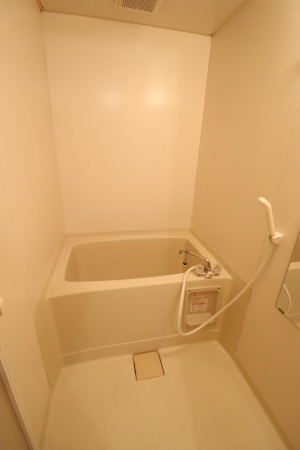 サイプレスタウン Cの浴室|部屋の写真です