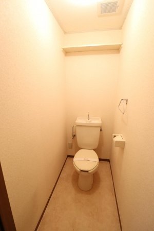 サイプレスタウン Cのトイレ|部屋の写真です
