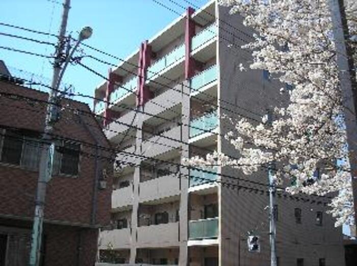 ベース・ブリッジ