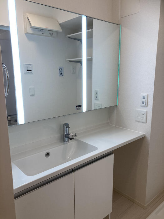 エクセリア蓮根の洗面所