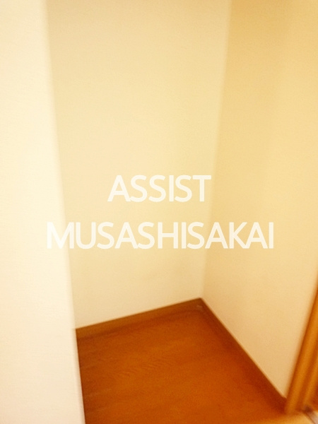 Ｂｅｒｇｐａｓ　Nのその他