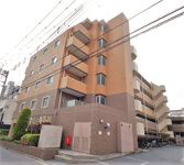 ゼファー川口青木フェリシアの画像