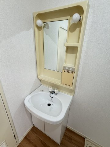 グリーンズホリデイAの独立洗面台