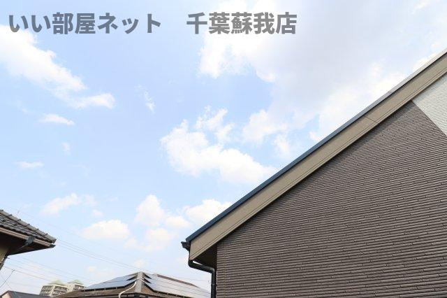 オリーブの木の展望