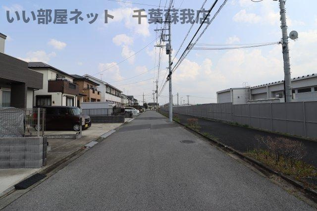 オリーブの木の周辺