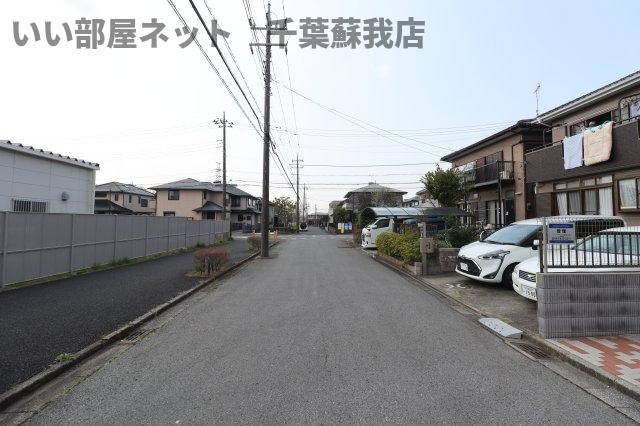 オリーブの木の周辺