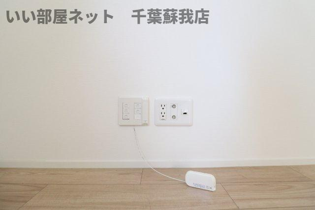 オリーブの木の設備