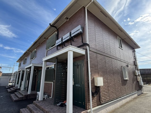 プルメリアの外観