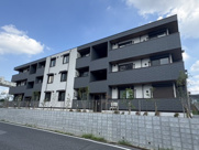 ガーベラ・グレイスの画像