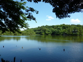 Ｓｏｌｅａｄｏ石神井公園のその他|石神井公園