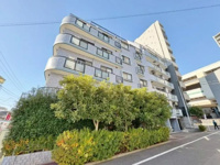 セザール板橋の画像