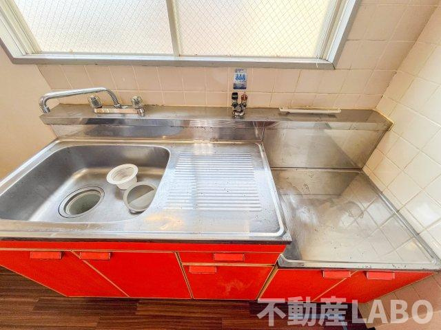 ロジェほりののその他